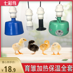 自制陶瓷灯口座小鸡育雏加热保温取暖灯箱暖风机S神器养殖高温节