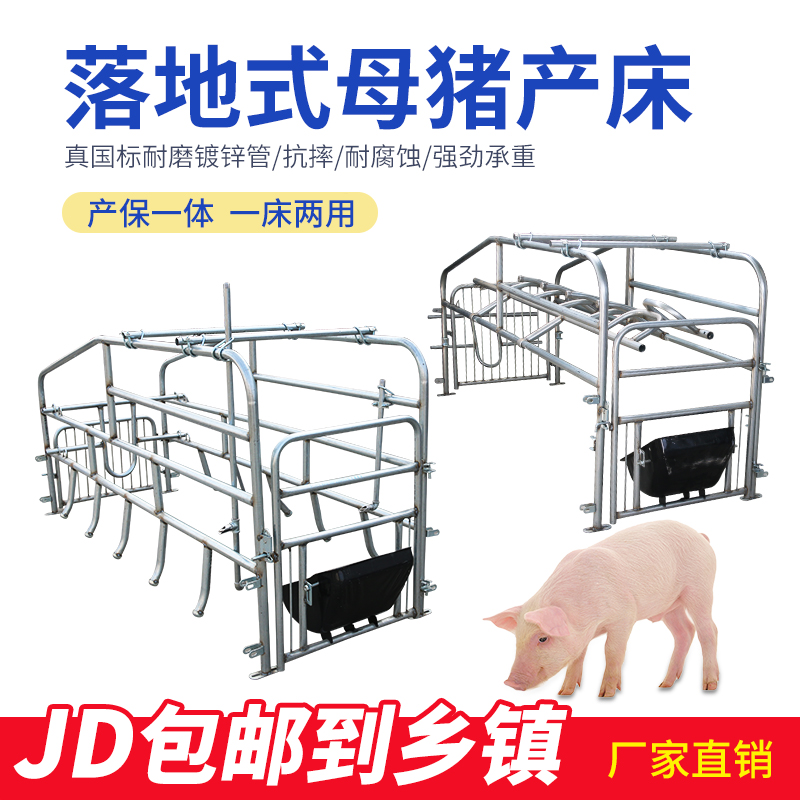 加厚单体双体母猪定位栏两用一体分娩床落地式产床保育猪用两用床