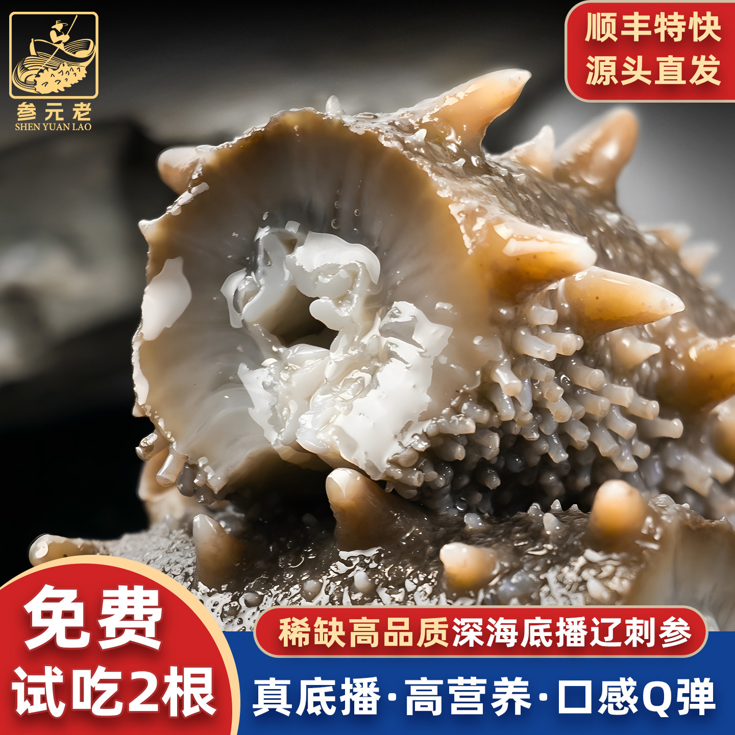 3斤产地大连鲜食海参深海即食海参鲜活辽刺参非干参孕妇老人补品