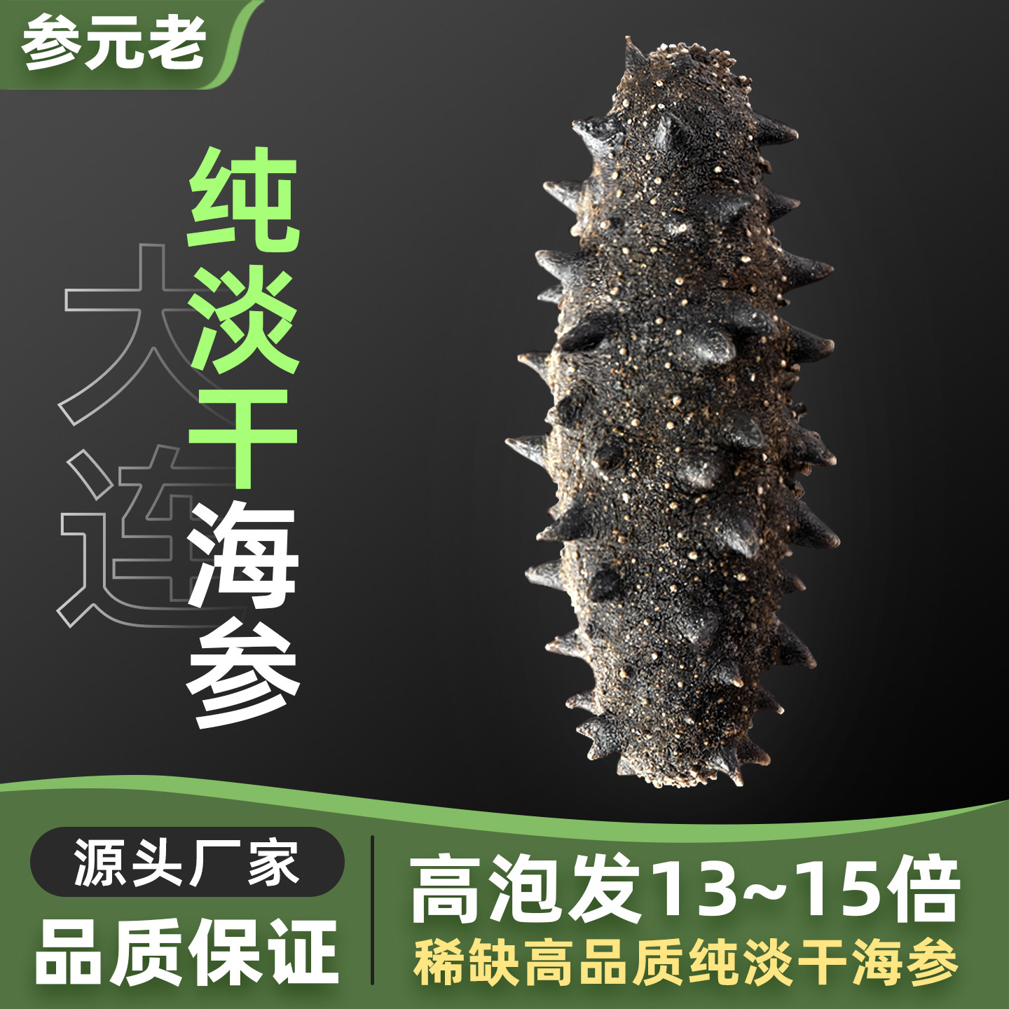 深海纯淡干海参干货老少皆宜