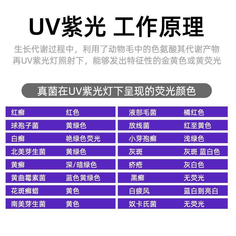 s%【2691人收藏】大功率四核伍德氏紫光灯鉴定紫外线手电筒验钞笔