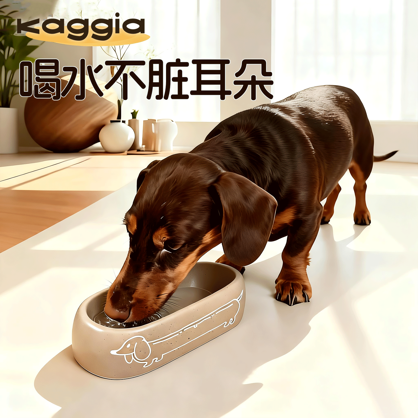 咖家Kaggia狗碗腊肠犬专用大耳长嘴狗陶瓷碗宠物不脏耳朵可卡比格