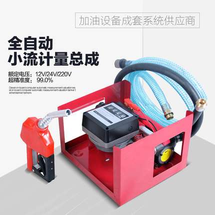 工厂直销220V 计量泵 加油机 柴油泵 柴油加油机 小型加油机