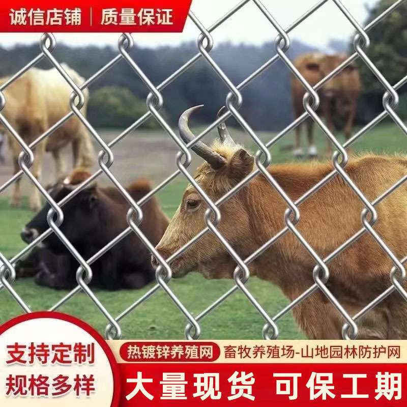 菱形勾花网镀锌铁丝网学校操场隔离勾花网护栏养殖隔离安全防护网