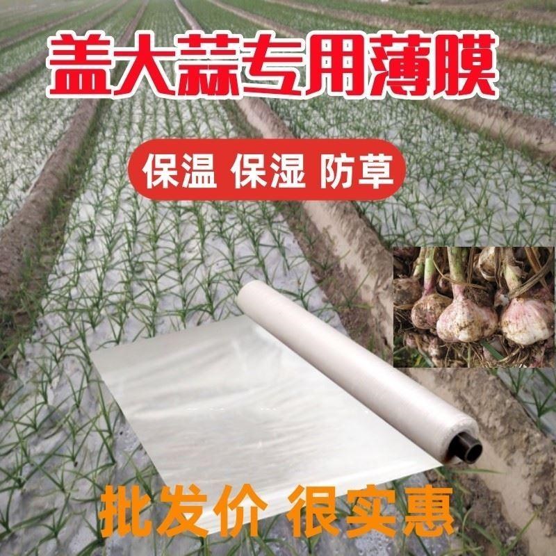 种大蒜专用膜塑料布儿盖蒜薄膜地膜种植农用透S明白色膜保温保湿