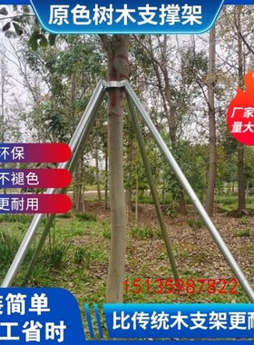 树木支撑架绿色大树支撑杆乔木防风抱箍钢管固定S器园林金属树支