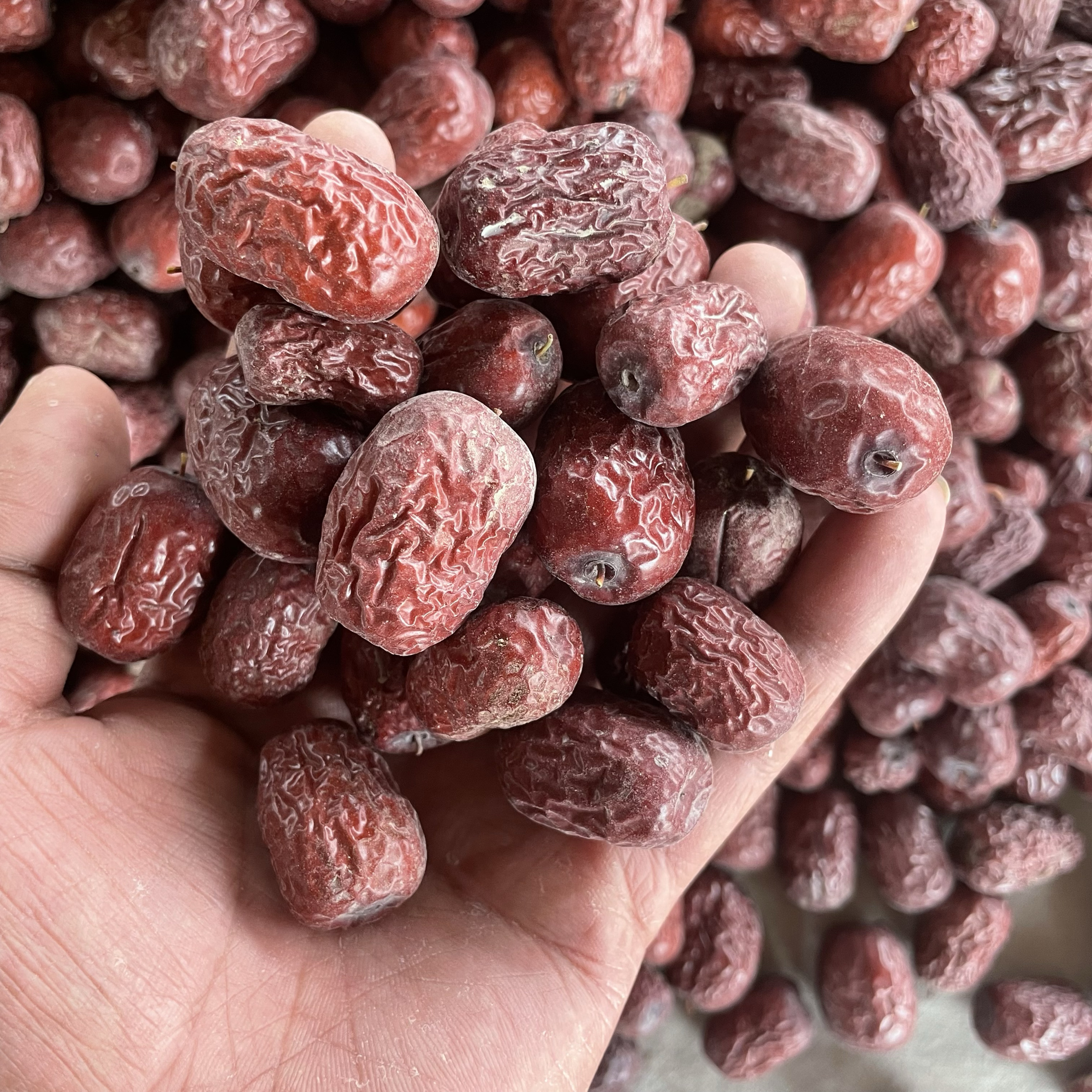 大李哥新疆吊干灰枣通货大小都有农二师36团米兰原枣带土原生态