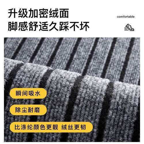 款入户门入门地垫家门口防新滑NOL垫进门地毯外门外室垫子公司垫