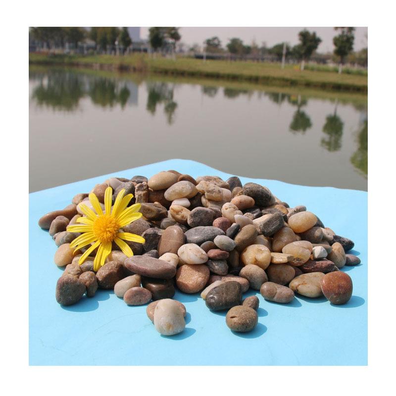 一体筑枯山水造建与894景优选灰黑黄绿水洗石米砾石园艺白盆景鱼