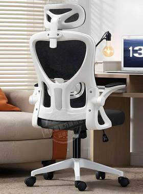 KT电脑椅电体竞升椅可F降人工学椅家用办公转椅靠厂家直供背带头