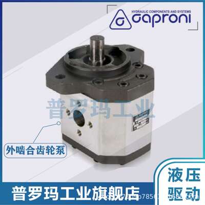 Caproni齿轮泵20A(C)4.5/8.2/12/19/22/25X007液压泵油泵