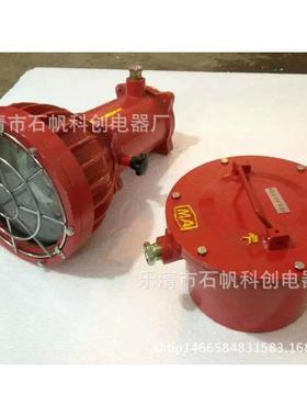 DGS175/127B(C) 矿用隔爆型投光灯，矿用175W投光灯.