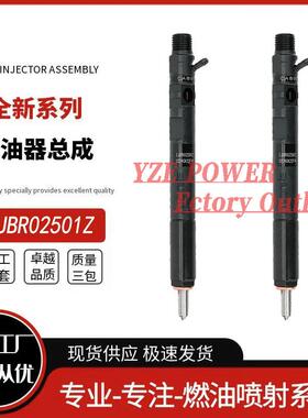 EJBR03001D EJBR02501Z柴油喷油器 33800-4X900 EJBR02501Z