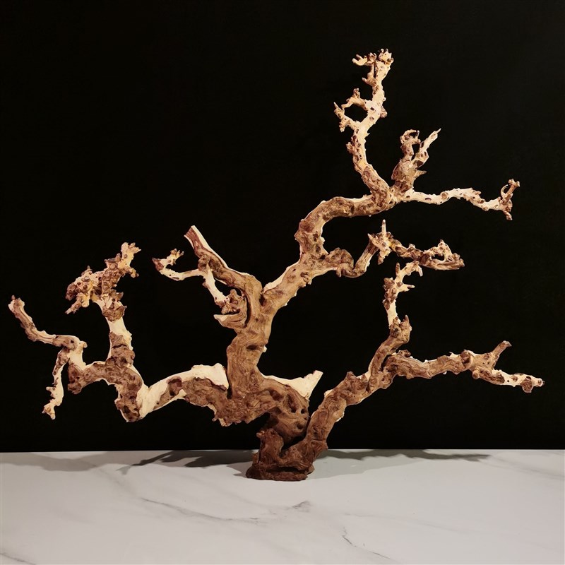 多枝沉木金丝红木珊瑚木羊蹄w甲紫柚鱼缸造景装饰摆件天然树根树