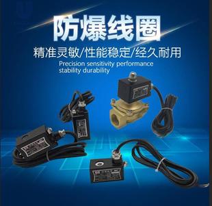 极速防爆水阀e2W 50铜电磁阀防爆线圈12