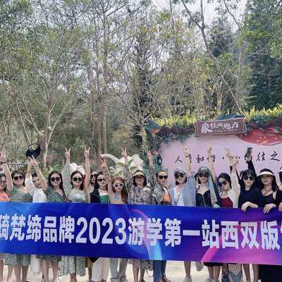 极速彩色丝绸贡缎帆布条横幅旗帜布手G拉旗公司团建微商制作广告