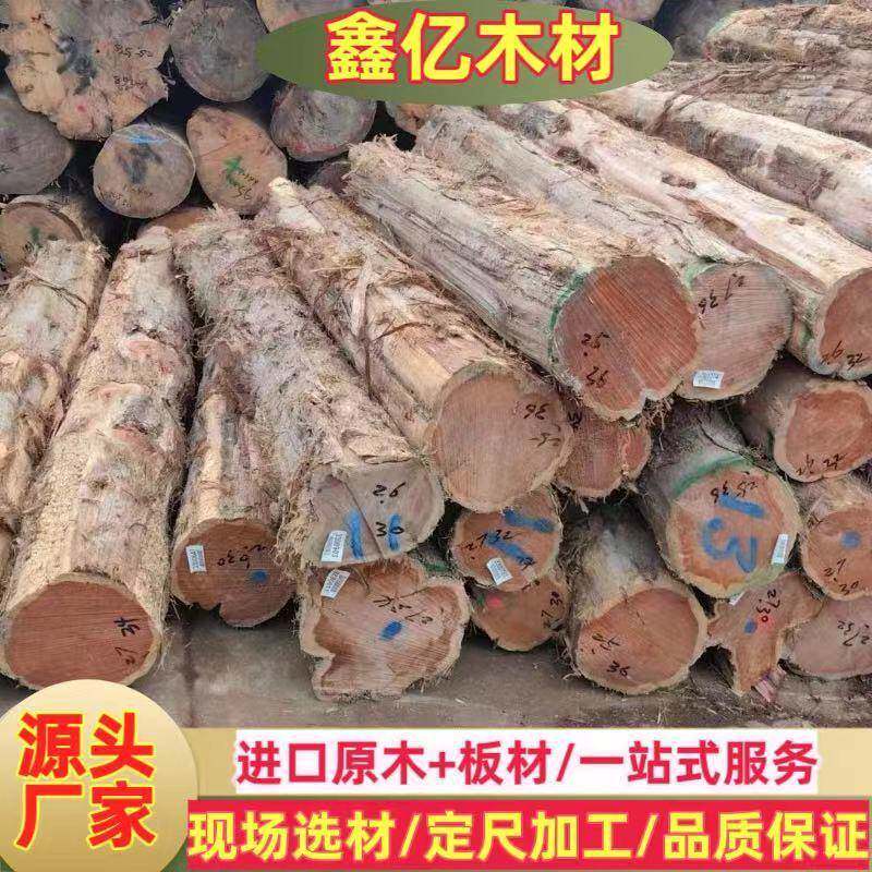 常年供应红雪松 红香柏原木 红雪松家具寿材方料 红柏木工艺品材