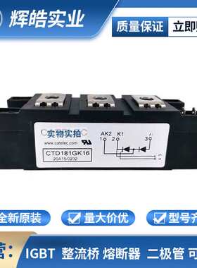 CTD181GK16 CTD320GK16 可控硅IGBT功率模块 电子元器件