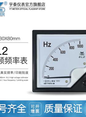 6L2中频频率表100v 1000hz 1500hz 2000hz指针赫兹表80*80mm450HZ