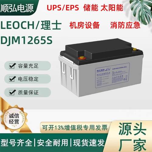 LEOCH UPS电源直流屏EPS电厂专用电池12V65AH理士DJM1265S蓄电池