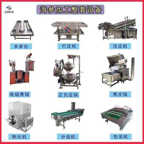 鲜食海参加工流水线设备即食海参电磁正负压蒸煮锅海参打皮清洗机
