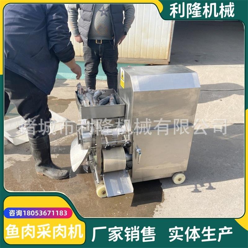 鱼刺分离做鱼丸机器 自动鱼肉采肉机 黄花鱼鲅鱼去刺取肉机