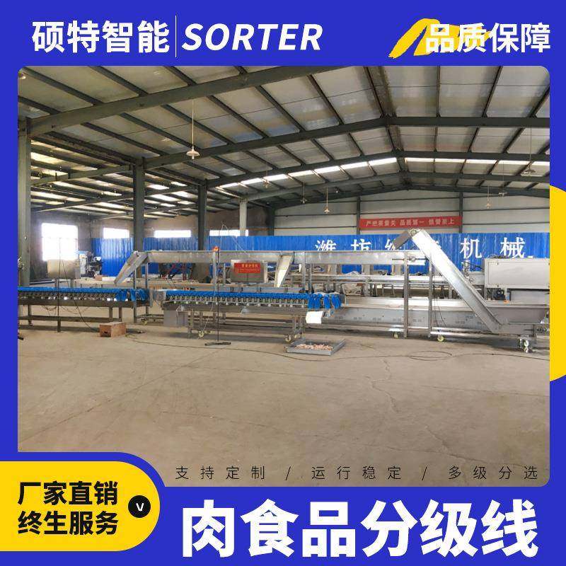 全自动连续分拣机 鱼类重量分选设备 鲅鱼大小称重分级机,清洗/食品/商业设备,肉制品加工设备,淘宝优惠券,粉丝福利购,淘宝优惠卷