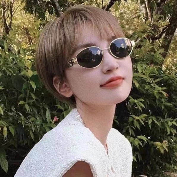 凯旋门墨镜近视太阳镜CL40235U