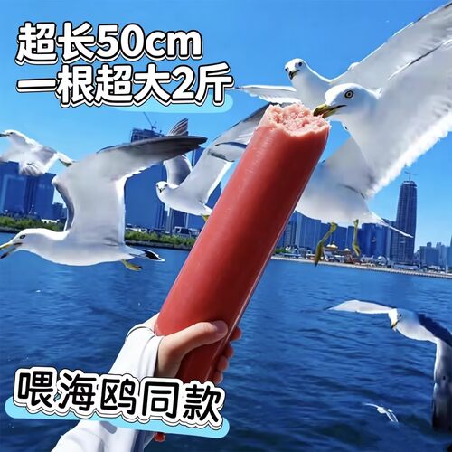 全网火爆喂海鸥的超大号火腿肠即食1根大2斤凉菜香肠涮锅炒菜餐饮