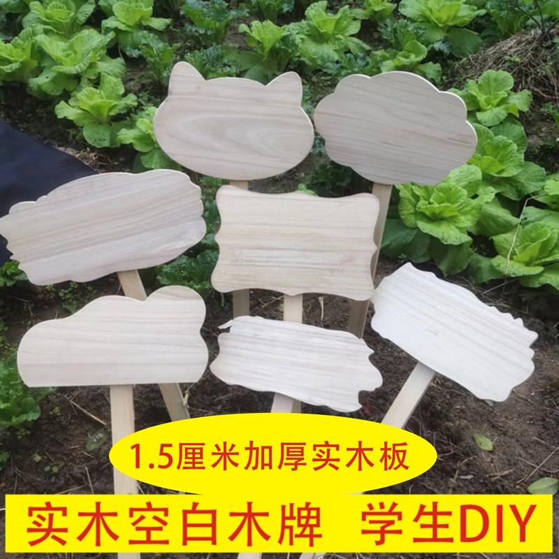 植物花草标识牌 实木插地牌幼儿园种植区班J级牌 学生DIY木牌定制