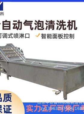 海鲜果蔬清洗机 菠菜番茄鲜虾大型清洗机 流水线大功率喷淋洗菜机