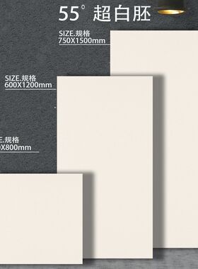 55°白胚微水泥瓷砖地砖客r厅柔光奶油白天鹅绒600x1200纯色地板