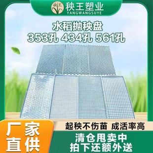 秧王水稻抛秧手抛机插盘人工434孔E353孔穴盘蔬菜快速育苗盘家用