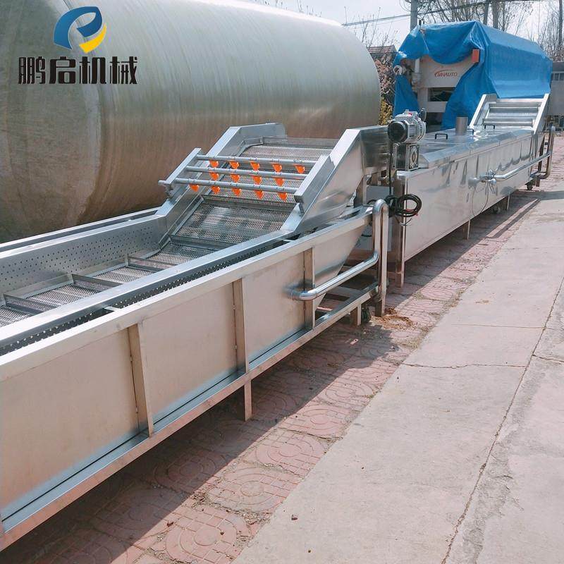 全自动枇杷清洗机气泡式水果清洗机多功能冲浪清洗机