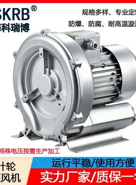 现货2NB410H060.7KW380V31.5kpa68m³/H漩涡高压鼓风机