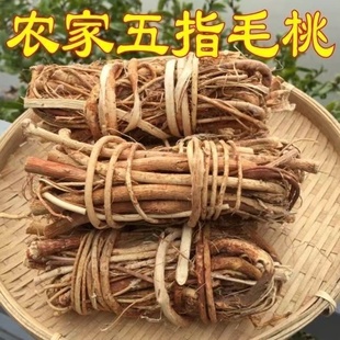 新鲜五指毛桃根野生500g中药材干货无添加正品 五爪龙煲汤材料泡酒