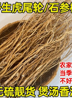 新货石参根自挖虎尾轮干货客家煲汤料草药土特产500g泡酒材料