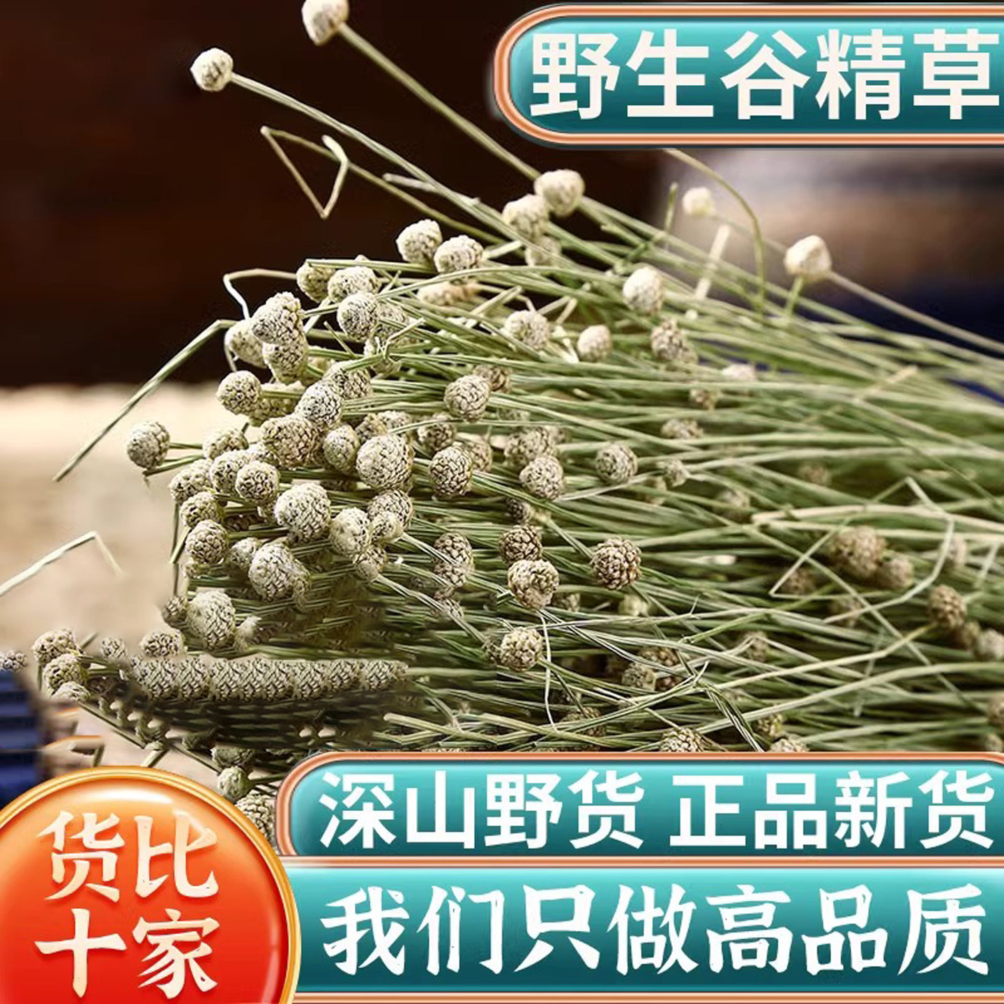 谷精草中药材正品新货500g克