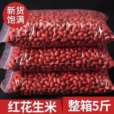 正宗东北红皮花生米农家新货不带壳四粒红新鲜小粒红衣花生仁