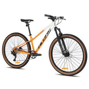 ALVAS爱瓦士MONSOON季风女士山地自行车铝合金油碟10速成人学生车