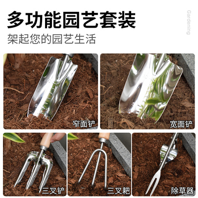 种花工具家用栽养花铲子园艺花铲三件套套装种菜多肉赶海小园艺铲