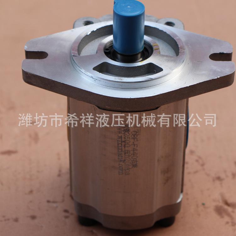 齿轮泵电动泵CBT-F410/F416/F420/F425//F432/F440