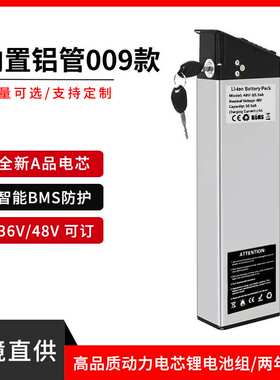 跨境供应48V13Ah锂电池内置铝管48V17ah折叠电动车锂电池一件代发