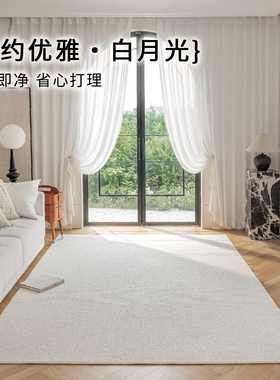 菠萝圈简约轻奢地毯防水抗污房间家用大面积卧室沙发客厅纯色毯