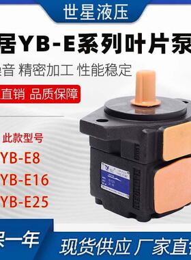 仙居高压叶片油泵YB-E32/E40/E50/E63/E80/E100/E125/E160/200
