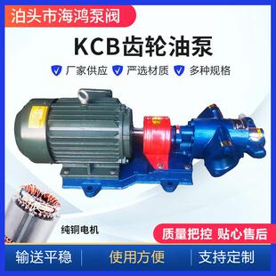 供应KCB齿轮油泵铸铁微型泵小型齿轮泵KCB齿轮式输油泵