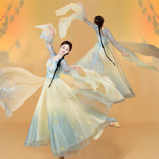 轻嫣眉新款 演出服女飘逸中国风身韵纱衣大摆裙练功服 古典舞服装