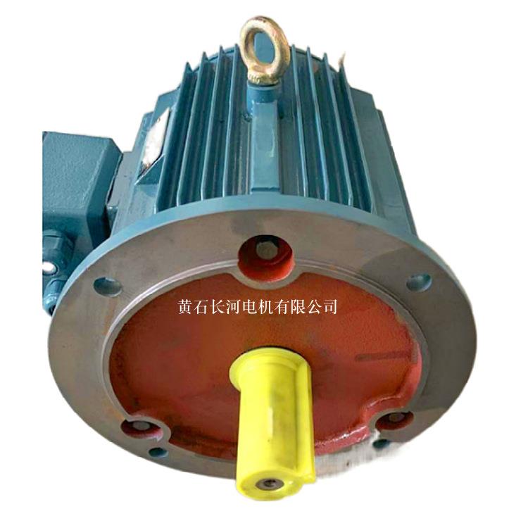 冷却塔电机 V1安装 YLT132S2-6/4W YLT/YLZ/YCL/YSCL冷却塔电机