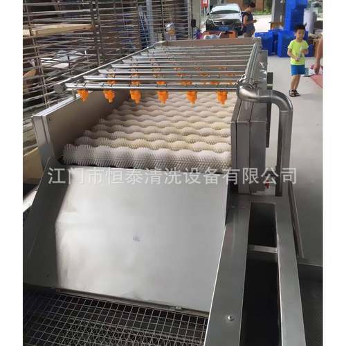 蔬菜食品药材土豆气泡涡流清洗线 爬坡线 果蔬清洗机