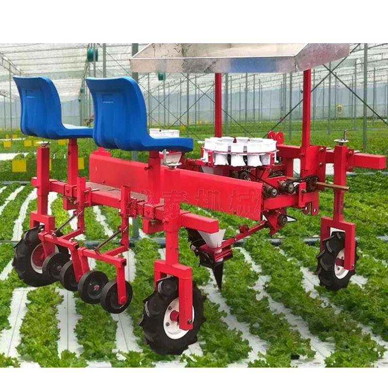 秧苗栽苗移栽机 自走式蔬菜移栽机瓜果苗栽苗机 茄子辣椒插苗机